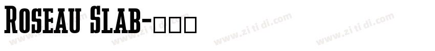 Roseau Slab字体转换